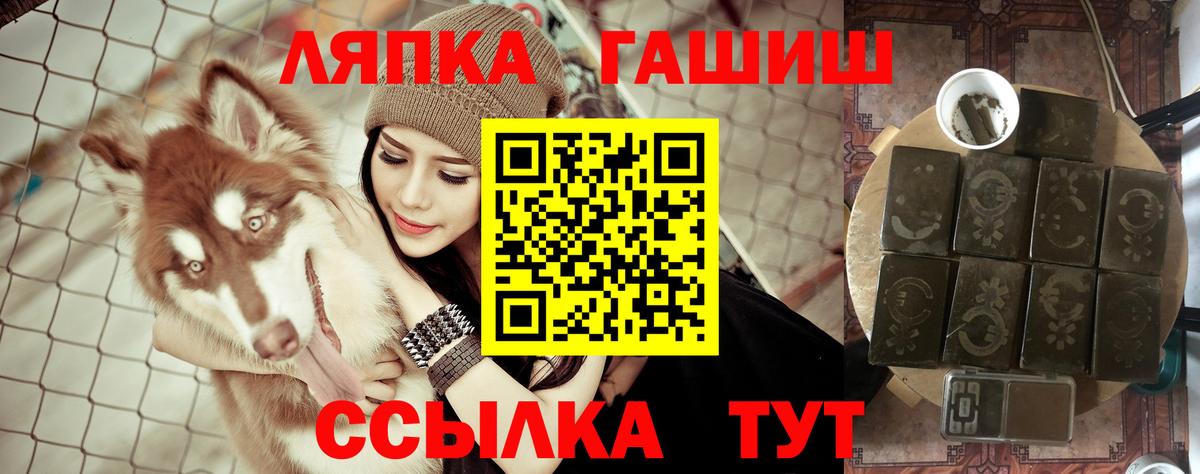 ГАШ VHQ Краснодар