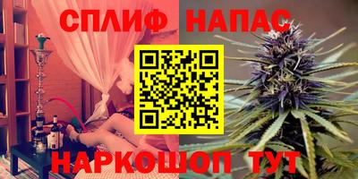 стаф Бузулук