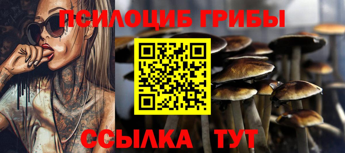 Краснодар  Псилоцибиновые грибы Cubensis  Вход с VPN 